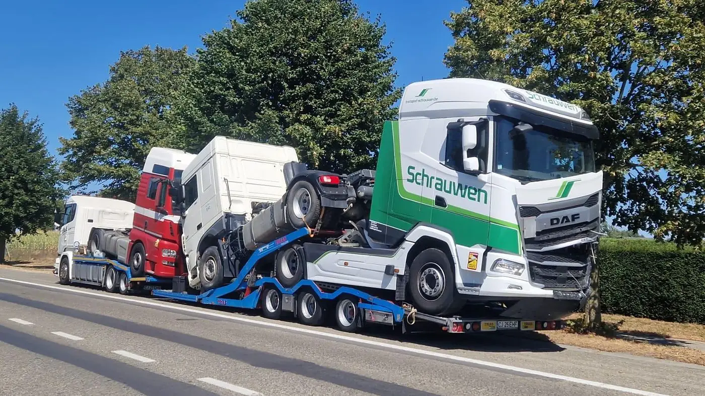 Transport multiplu de capete tractor pe semiremorca TRIAS 813-240 - OL Speditionwagon